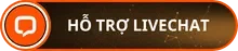 Live chat B8 hỗ trợ 24/7